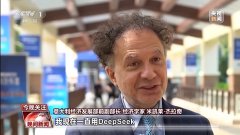 意大利经济成长部前副部长经济学家米凯莱·杰拉